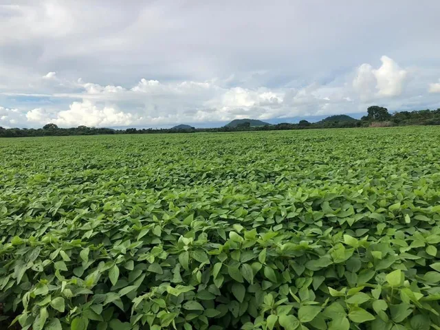 Imagem 3: Fazenda RURAL em Porto Alegre do Norte - Mato Grosso