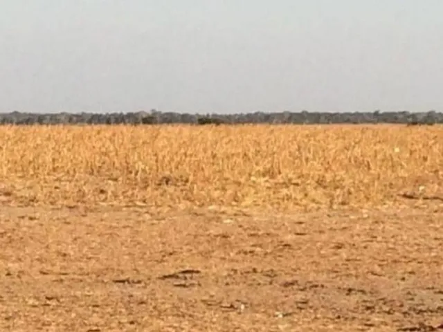 Imagem 2: Fazenda RURAL em Porto Alegre do Norte - Mato Grosso