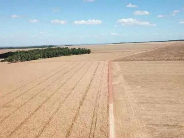 Imagem 7: Fazenda RURAL em Porto Alegre do Norte - Mato Grosso