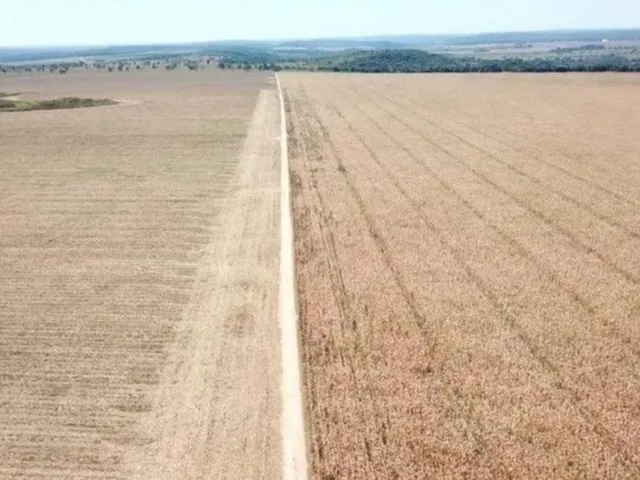 Imagem 4: Fazenda RURAL em Porto Alegre do Norte - Mato Grosso