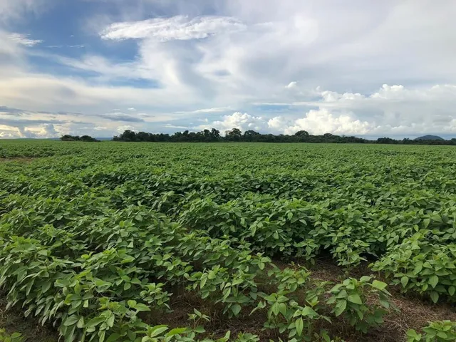 Imagem 9: Fazenda RURAL em Porto Alegre do Norte - Mato Grosso