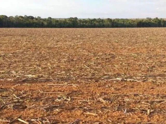 Imagem 8: Fazenda RURAL em Porto Alegre do Norte - Mato Grosso