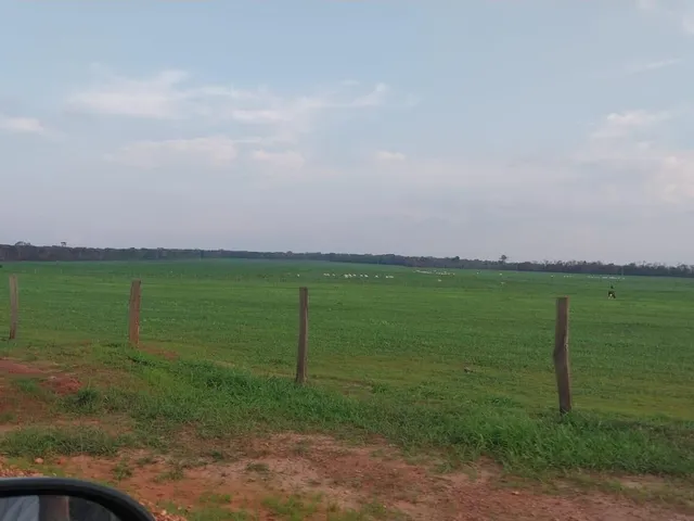 Imagem: A fazenda possui 330m² de Área e está localizado em São