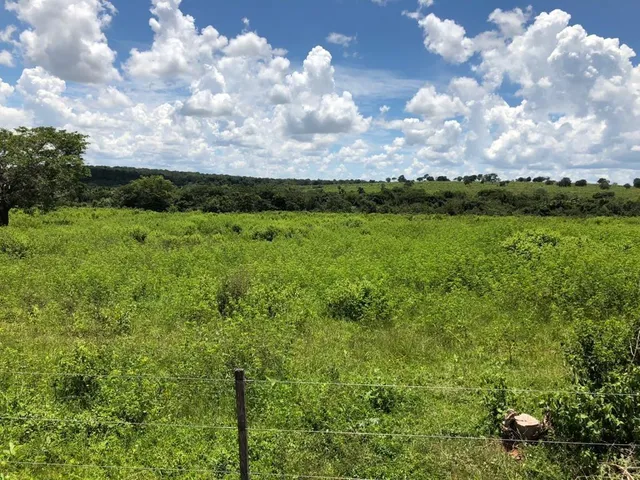 Imagem: A fazenda possui 2.795m² de Área e está localizado em