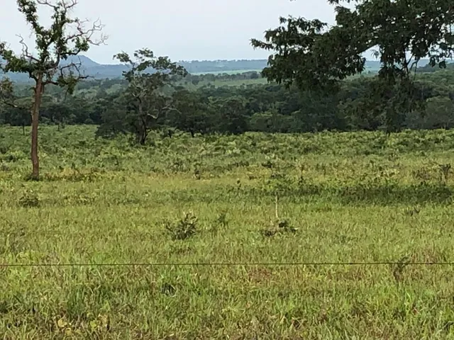 Imagem 7: 0 Fazenda / sítio com venda por R$120.000.000