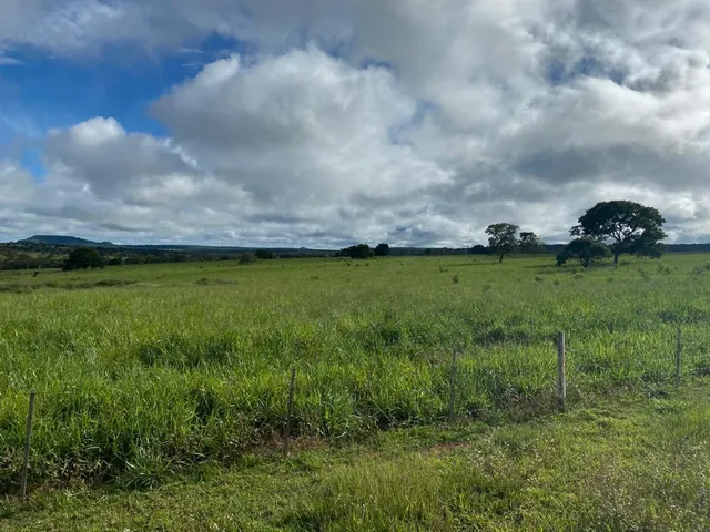 Imagem 6: 0 Fazenda / sítio com venda por R$120.000.000