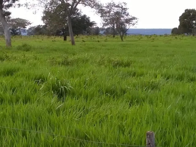 Imagem 4: 0 Fazenda / sítio com venda por R$120.000.000