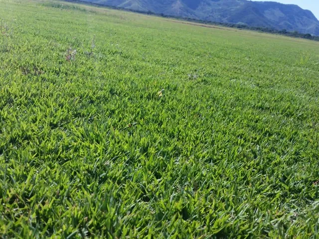 Imagem 6: Fazenda RURAL em Saquarema - Rio de Janeiro, Área Rural de Saquarema