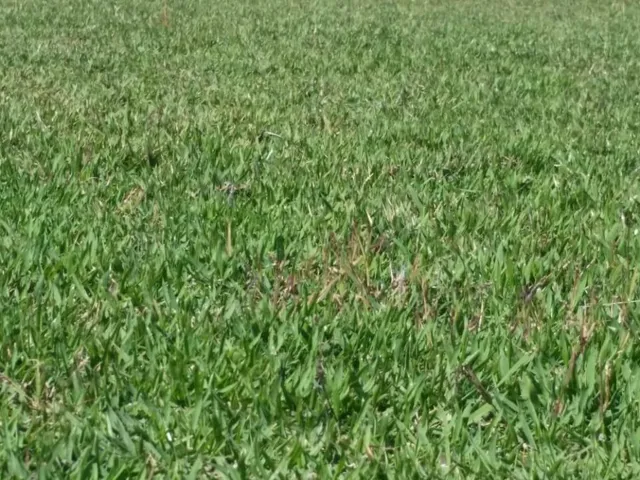 Imagem 7: Fazenda RURAL em Saquarema - Rio de Janeiro, Área Rural de Saquarema