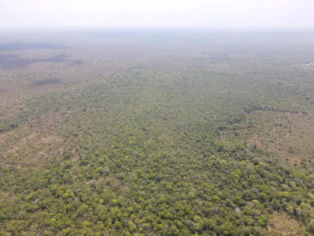 Imagem: A fazenda possui 836m² de Área e está localizado em Nova