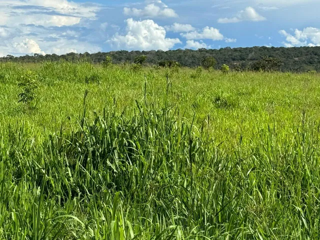 Imagem: A fazenda possui 764m² de Área e está localizado em