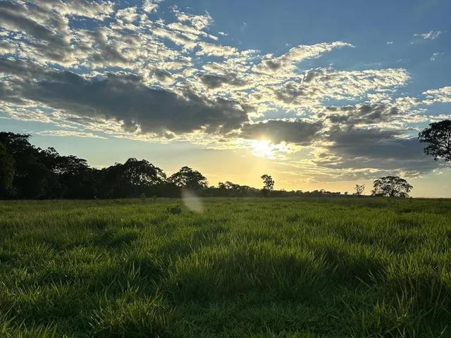 Imagem: A fazenda possui 46m² de Área e está localizado em Área