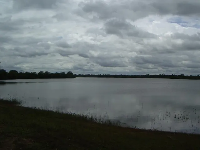 Imagem 2: Fazenda grande extensão a venda na região de Alto da Boa Vista-MT com 79.000 hectares