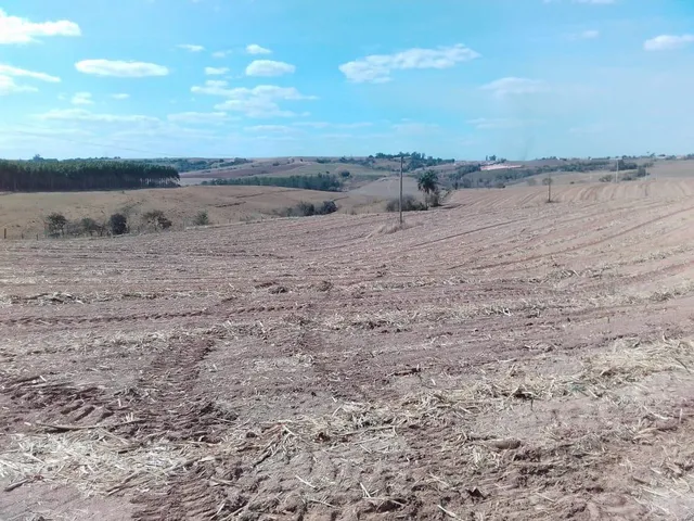 Imagem: Fazenda para venda na região de Piracicaba-SP