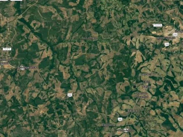 Imagem: Fazenda dupla aptidao para venda na região