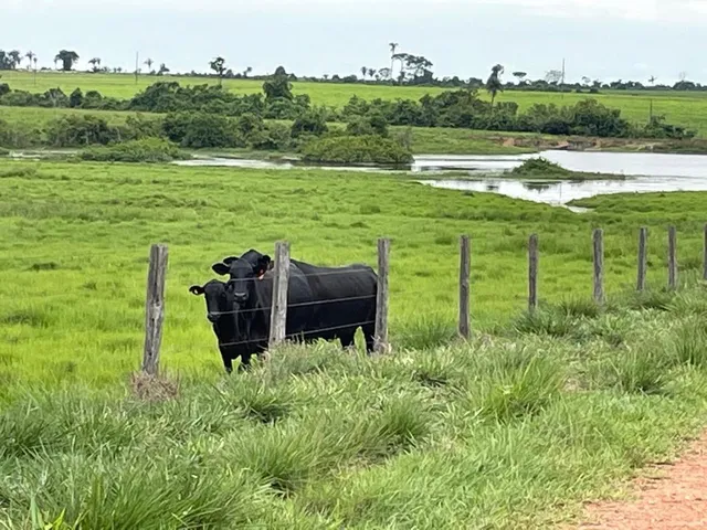 Imagem: Fazenda dupla aptidão para venda na região