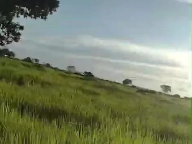 Imagem 2: Fazenda dupla aptidao para venda na região de Cariri do Tocantins-TO com 998 hectares