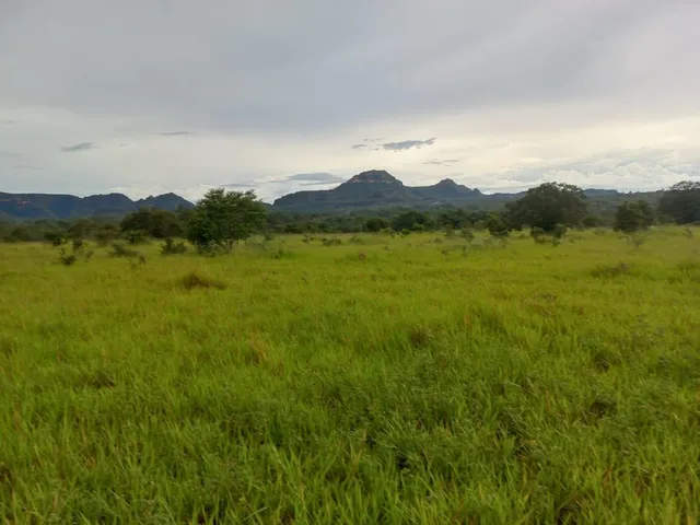 Imagem: Fazenda dupla aptidão para venda na região