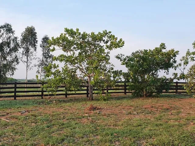 Imagem 9: 0 Fazenda / sítio com venda por R$10.000.000