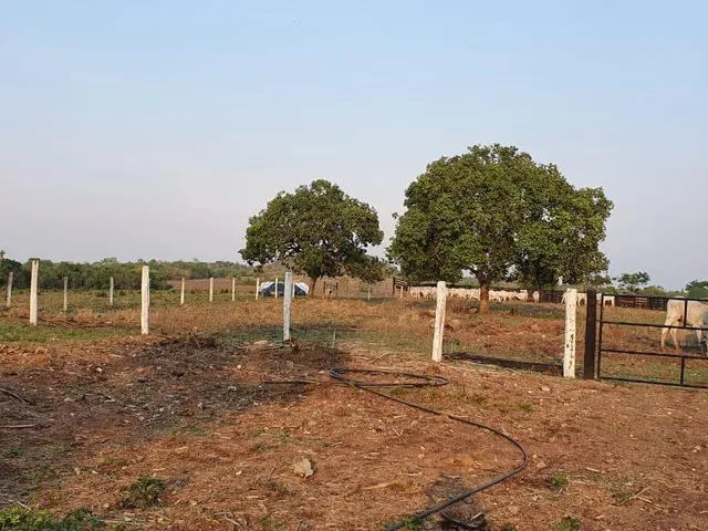 Imagem 13: 0 Fazenda / sítio com venda por R$10.000.000
