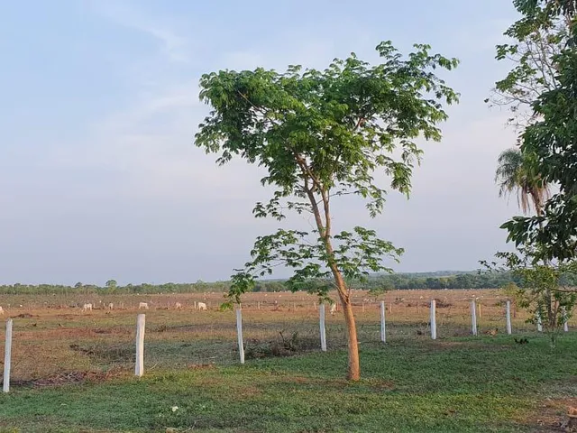 Imagem 2: 0 Fazenda / sítio com venda por R$10.000.000
