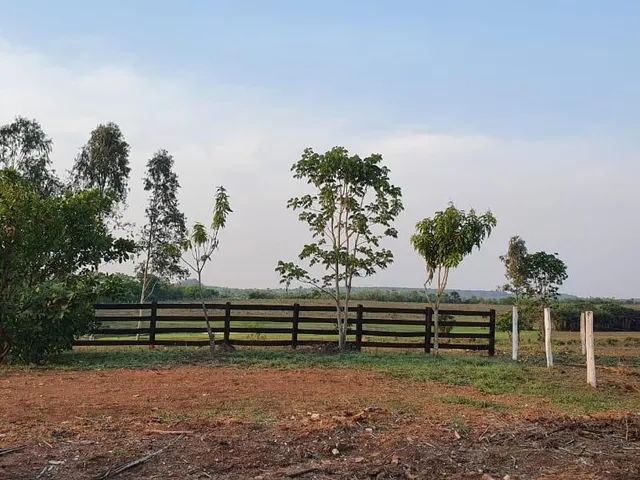 Imagem 5: 0 Fazenda / sítio com venda por R$10.000.000