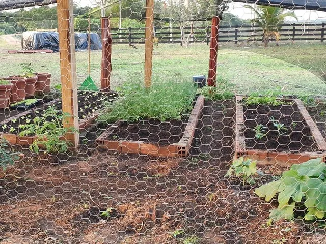 Imagem 11: 0 Fazenda / sítio com venda por R$10.000.000