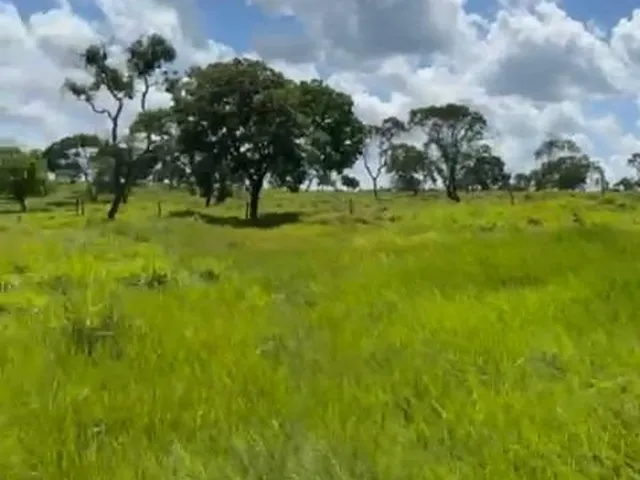 Imagem 3: 0 Fazenda / sítio com 3 dormitórios