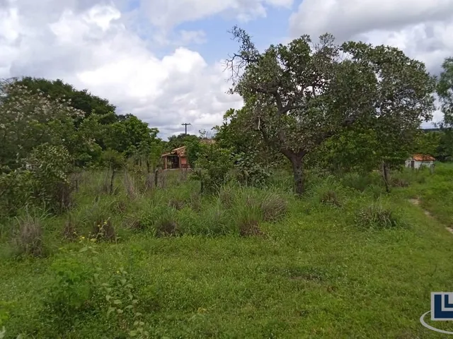 Imagem: Sitio dupla aptidão para venda em Floriano-PI