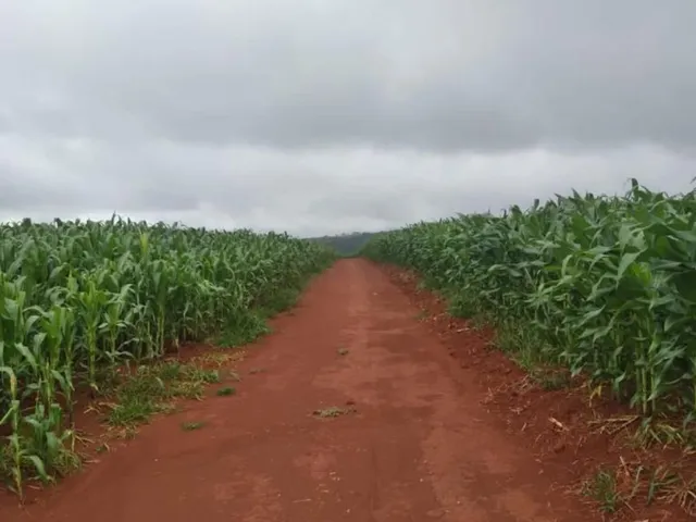 Imagem 2: Area / Sitio para venda na região de Capitólio-MG com 62 hectares, beira da represa