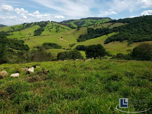 Imagem 1: Excelente sitio tripla aptidao para venda em Capitolio-MG, pousada turística, pastagem e