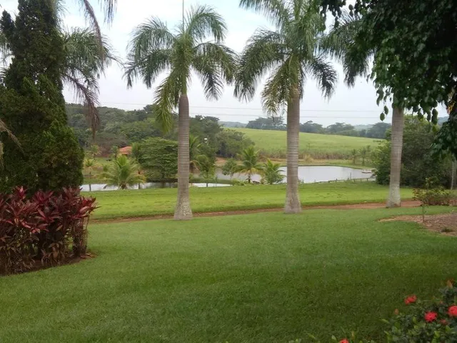 Imagem: Lindo sitio de cinema para venda na região