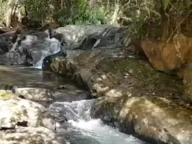 Imagem 4: 0 Fazenda / sítio com venda por R$2.550.000