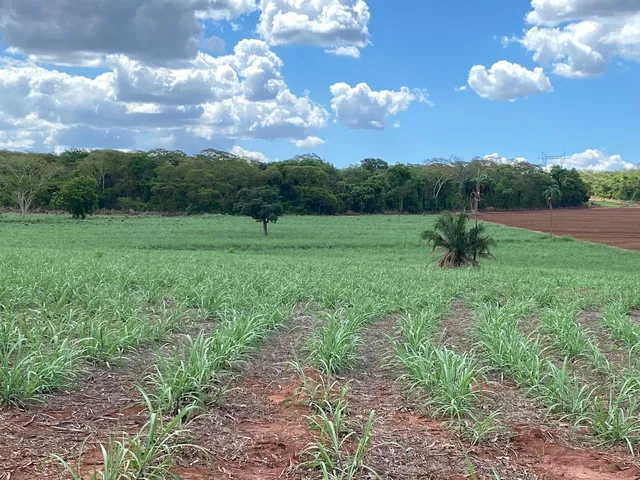 Imagem: A fazenda possui 19m² de Área e está localizado em