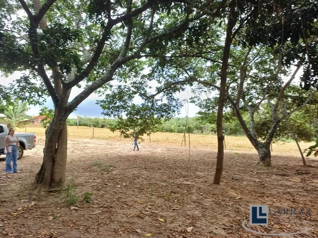 Imagem 10: Terreno Residencial em Delfinópolis - Minas Gerais