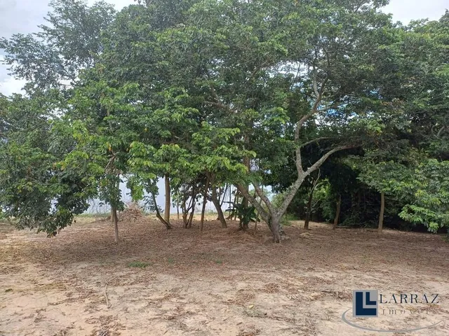 Imagem 2: Terreno Residencial em Delfinópolis - Minas Gerais