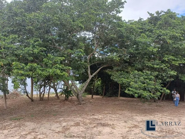 Imagem 8: Terreno Residencial em Delfinópolis - Minas Gerais