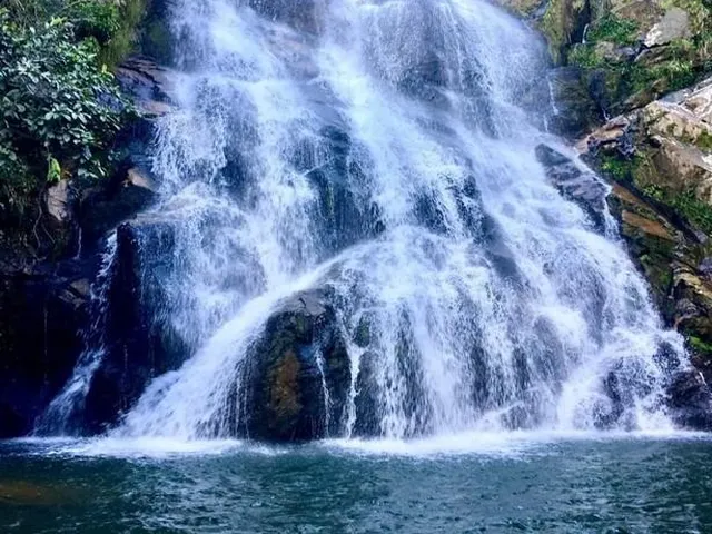 Imagem 10: 0 Fazenda / sítio com 2 dormitórios