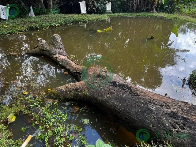 Imagem 10: 0 Chácara com 3 dormitórios