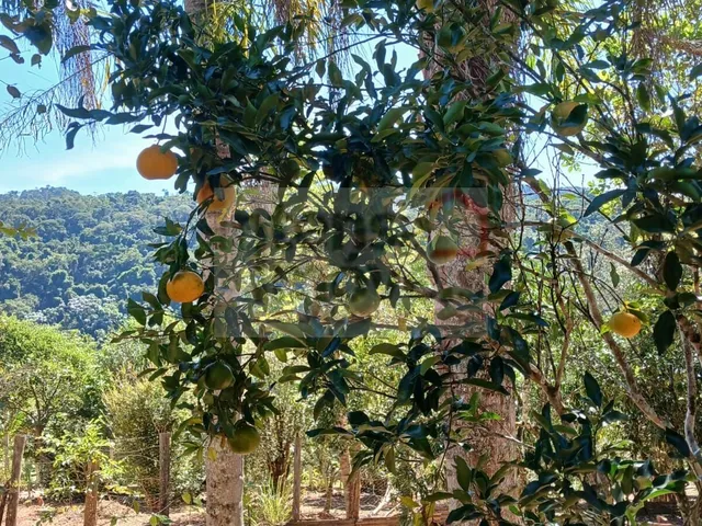 Imagem 16: Chácara em Gramado Ll, Redenção da Serra/Sp