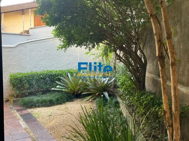 Imagem 8: Casa Comercial em Campinas - São Paulo, Nova Campinas