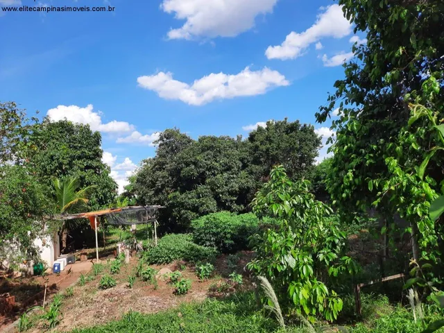Imagem: TERRENO RESIDENCIAL em Campinas - São Paulo