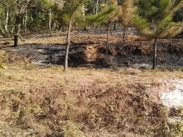 Imagem 9: 0 Terreno / lote com venda por R$60.000