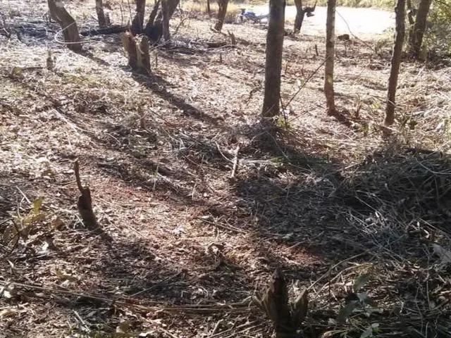 Imagem 7: 0 Terreno / lote com venda por R$60.000