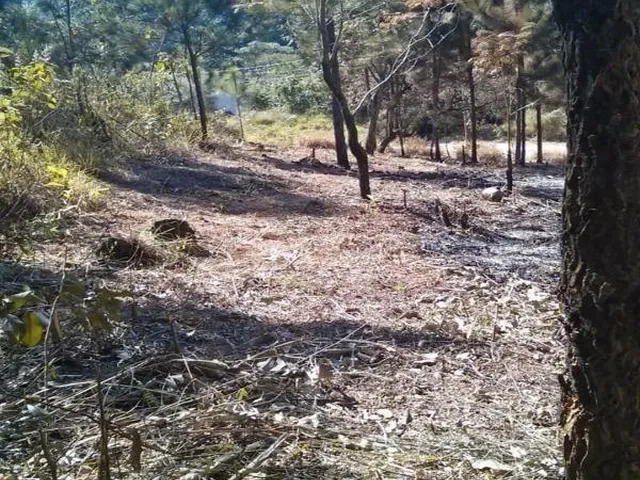 Imagem 2: 0 Terreno / lote com venda por R$60.000