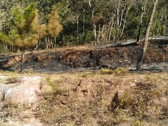 Imagem 4: 0 Terreno / lote com venda por R$60.000