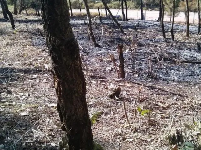 Imagem 3: 0 Terreno / lote com venda por R$60.000