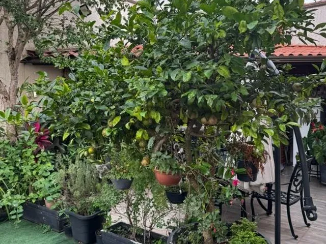 Imagem 10: 0 Casa com 4 dormitórios