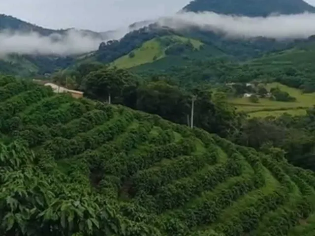 Imagem: Fazenda À Venda em Caconde/Sp
