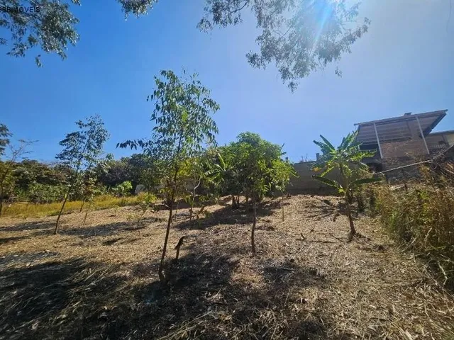 Imagem 7: Casa Residencial em Brasília - Distrito Federal, Setor Habitacional Arniqueira (Águas Claras